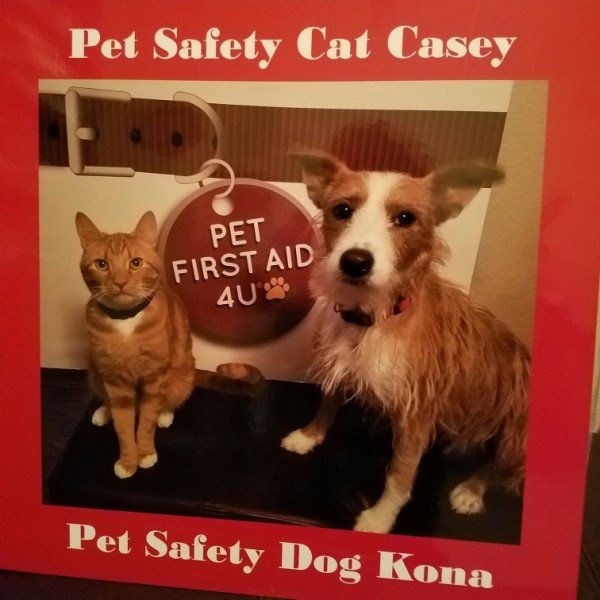 PFA4UCaseyAndKonaPoster resized 20170718 081052087