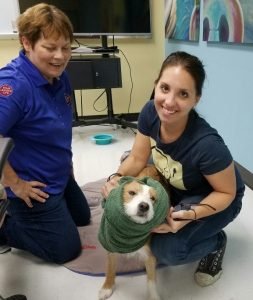 PFA4UKonaTowelWrapped6 4 16 resized 20170718 081052271