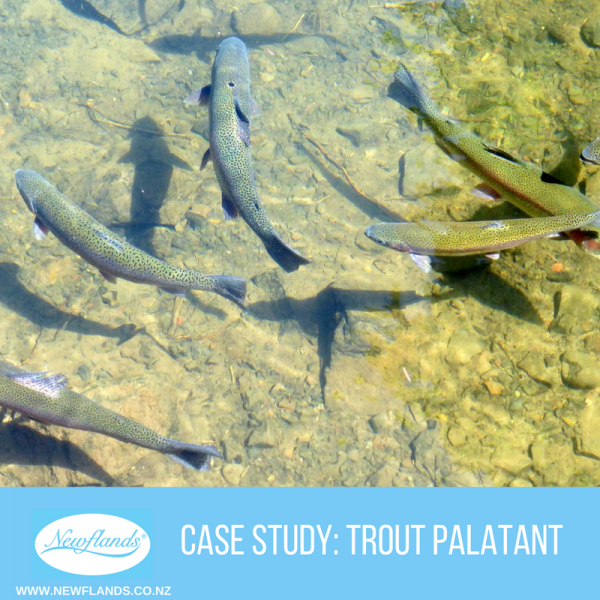 Trout Palatant