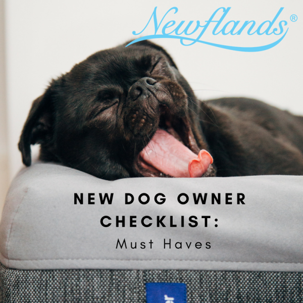 Copy of Newflands blog template