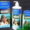 Newflands Christmas Hoki Oil Family