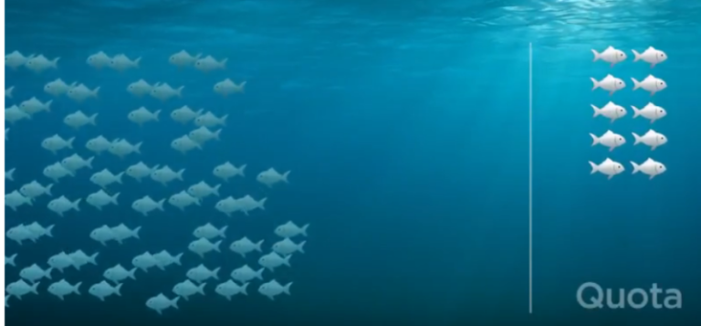 fishquota2