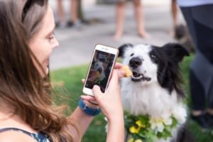 aucklanddogphotographer web 21 of 47