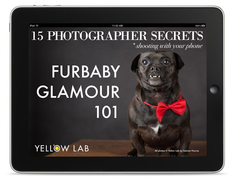 Best phone Photo tips