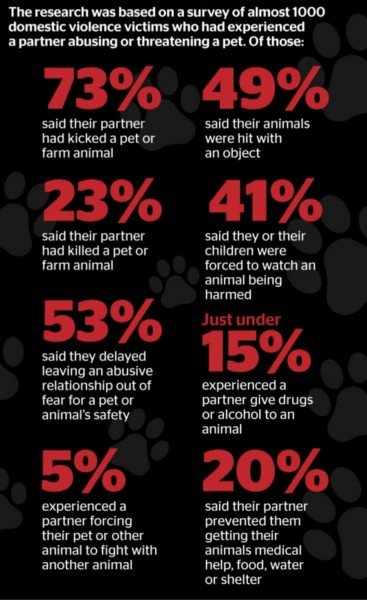 abuse statistics