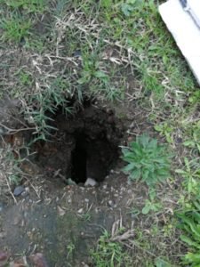 thehole
