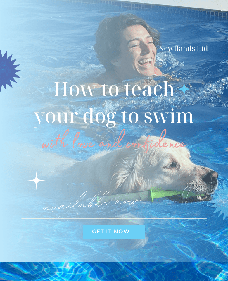 How to teach your dog to swim course