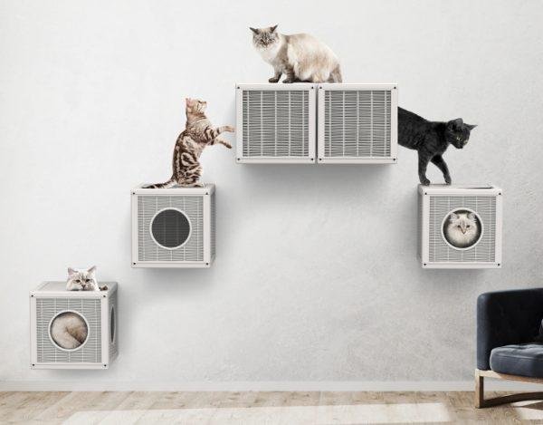 Qublo cat cube
