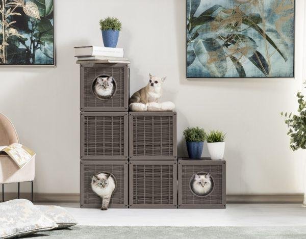 Stackable cat gym for healthy pets