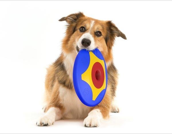 Suitable for holding Trotto is soft on your dogs teeth