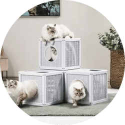 Cat crates