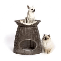 Dog product
