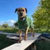 Dog bathrobe green Towel