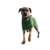 Dog bathrobe green towel