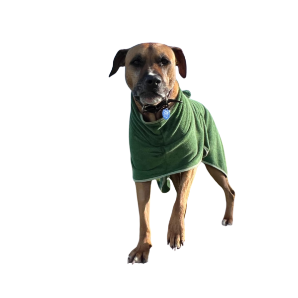 Dog bathrobe green towel