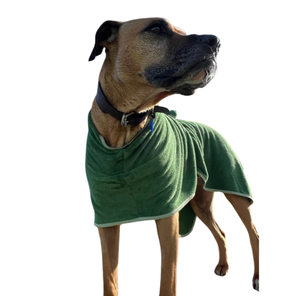 Dog Bathrobe Towel