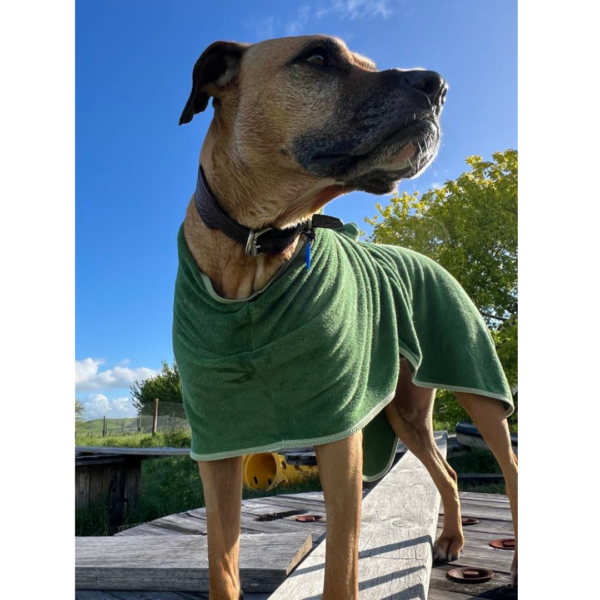 Dog Bathrobe