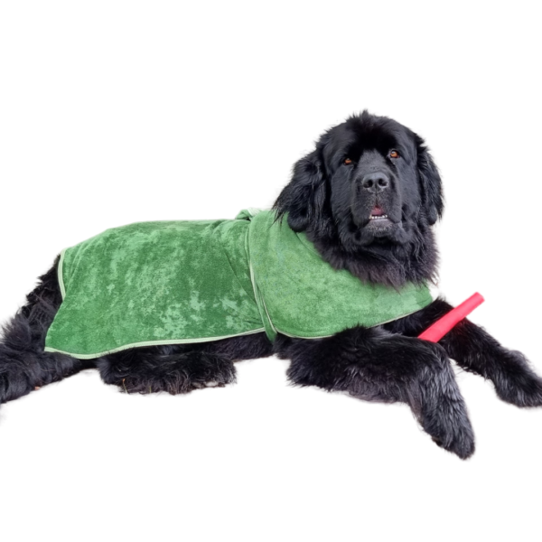 Premium Dog Bath Robe With Stick