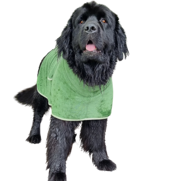 Premium Dog Bathrobe