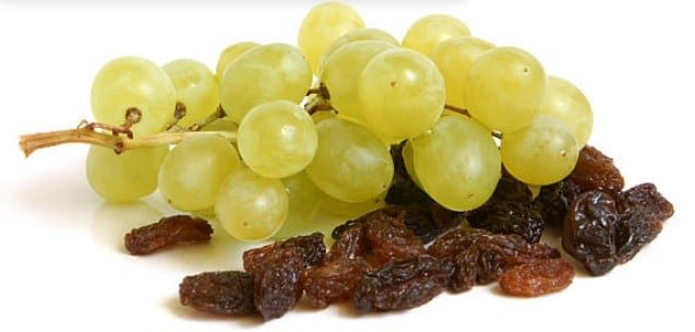 Rasins and grapes