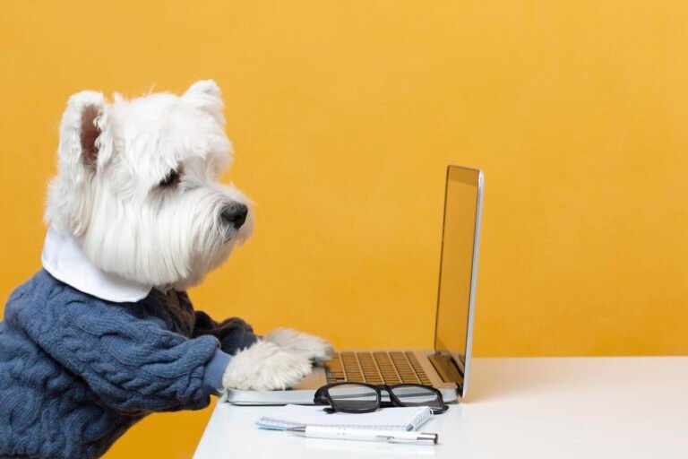 How to Rent with a Dog in NZ: Tips, CVs, References & Tips to Get Approved